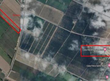 Espectacular Terreno en Chincha, Es Zona de Expansión, con un Área 2.000 Has