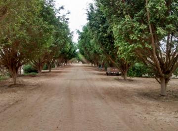 Venta de Terreno en Chincha Cond. Rio Chico - 2000 m² - Agua - Energía Eléctrica - Segur. 24/7
