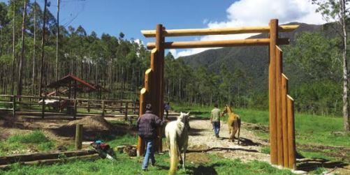 Venta de Terreno Oxapampa Condominio Entre Arboles