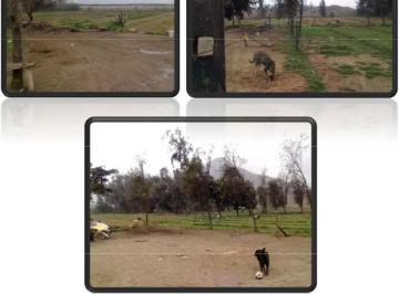 Terreno en Cajamarquilla Gran Área