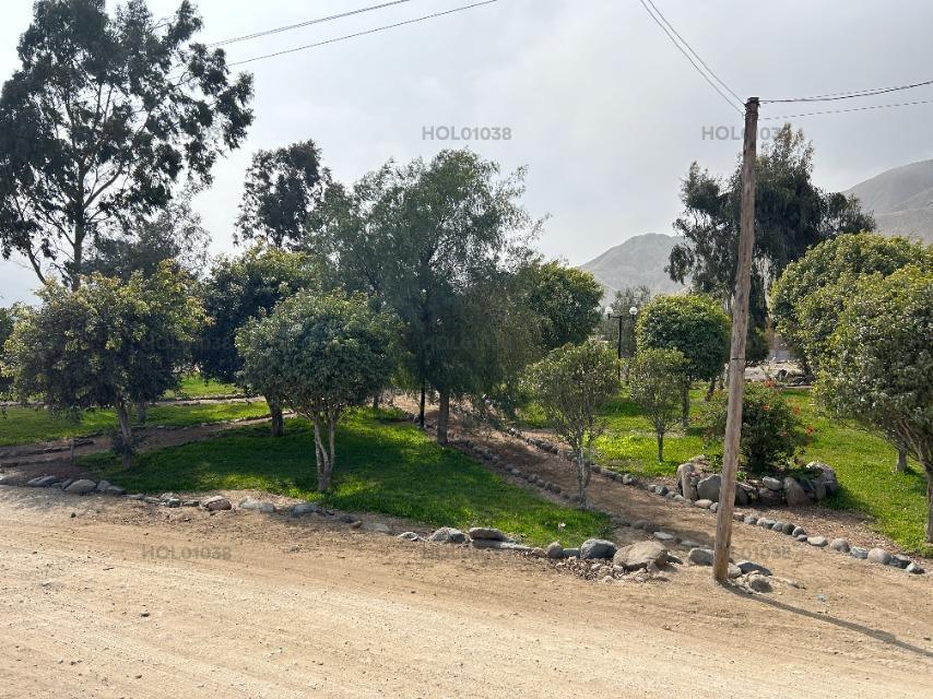 Vendo Terreno en Condominio en Calle Las Dalias Mz F Urb. Cieneguilla, El Sol de Cieneguilla