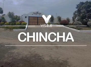 Terreno en Venta de 4.79 Has - El Carmen, Chincha