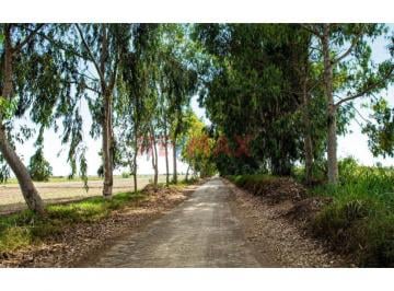 Terreno en Venta en El Carmen, Chincha