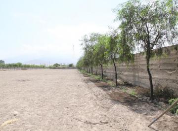 Venta de Terreno en El Carmen – Chincha