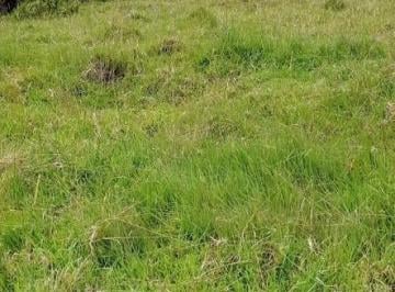 En Venta – Amplio Terreno en Esquina Grapanazú, Oxapampa