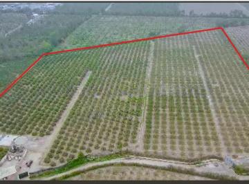 Vendo Terreno 4.638 Hectáreas a 35 Minutos del Mega Puerto de Chancay.