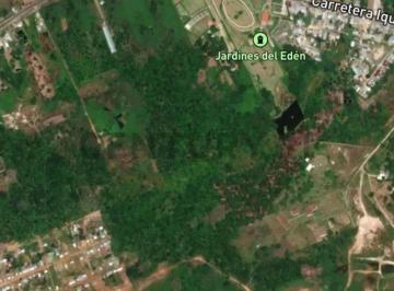 Terreno de 45 Hectáreas en Iquitos a 15 Minutos del Aeropuerto y Al Centro