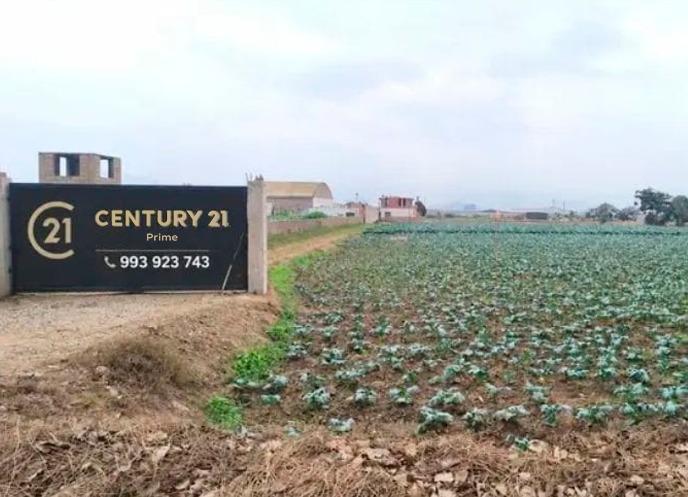 Vendo Terreno en Moche - Trujillo