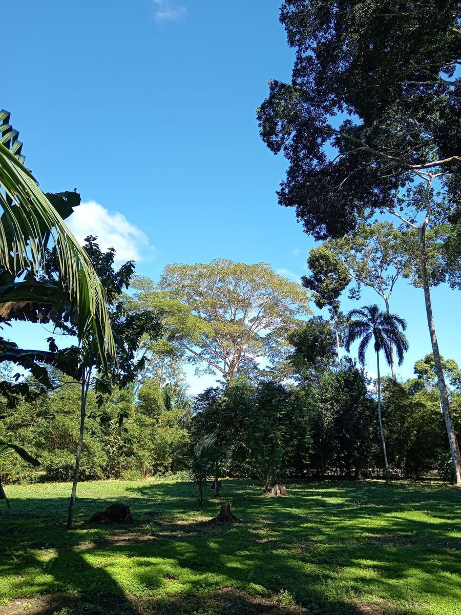 Terreno en Venta en Puerto Maldonado
