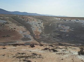 ️ Terreno Rural en Venta de 10 Hectáreas en Matarani – Islay