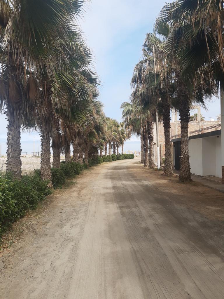 Terreno en Venta Playa Arizona 1 Mollendo - Mejía