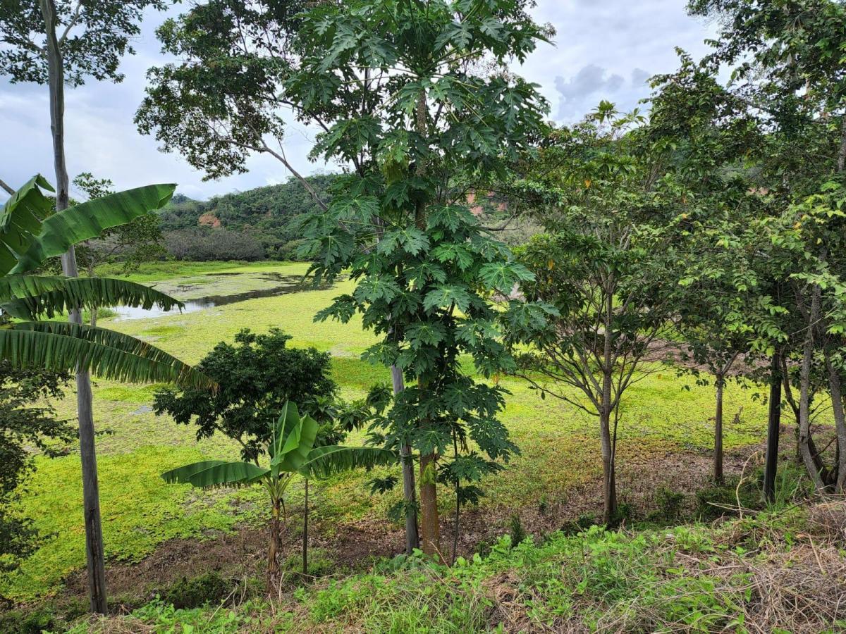 Excelente Ubicación en San Martin Lote de Terreno