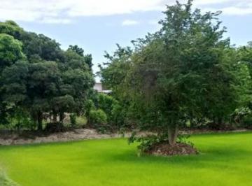 Venta de Terreno Agrícola con Riego en Tumbes – 6, 300 m²
