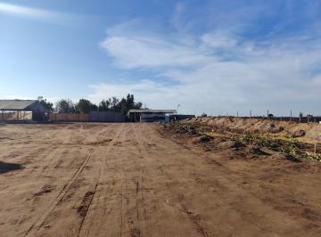 Terreno 5 Hectáreas en Venta – San Camilo, La Joya