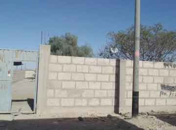 Terreno 1000 m² en Parque Industrial Amein – El Pedregal