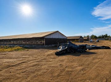 Terreno de 5h en Venta San Camilo