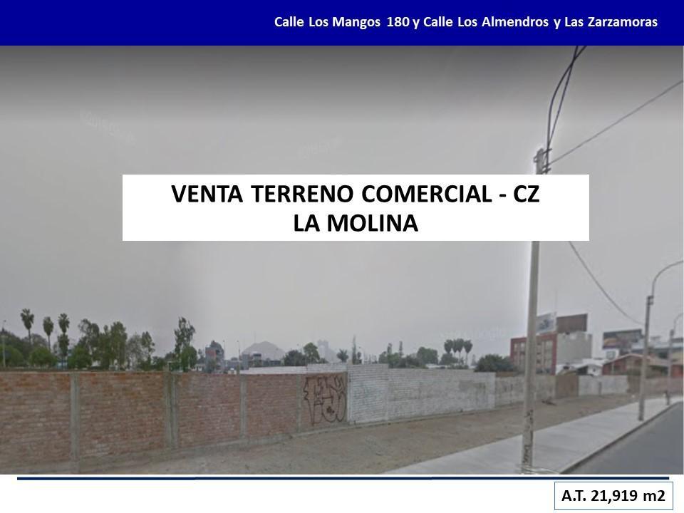 Venta Terreno Comercial Cz - La Molina - Calle Los Mangos - 21, 919 m²