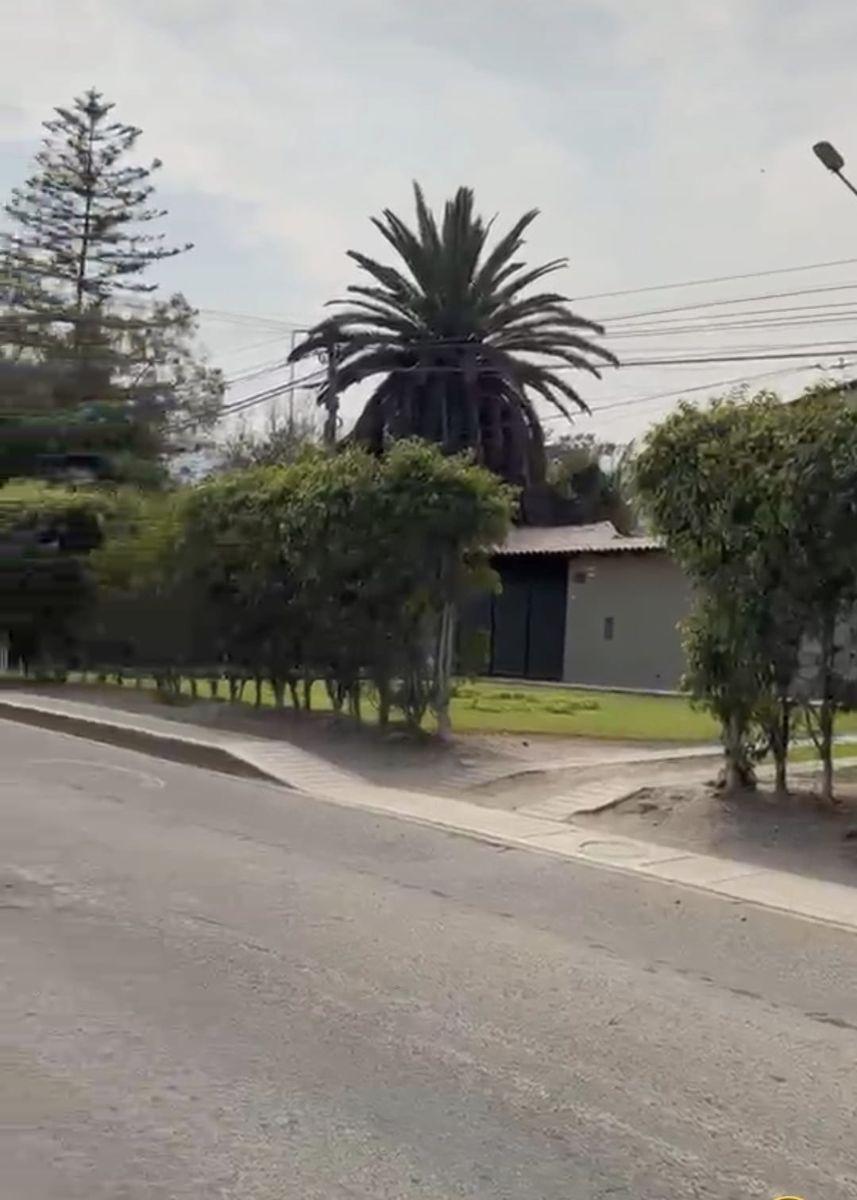 Se Vende Terreno de 1250 en La Molina