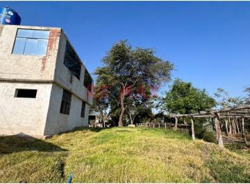 Terreno en Venta de 2.28ha con Casa de Campo en Jayanca (Q. Rojas)