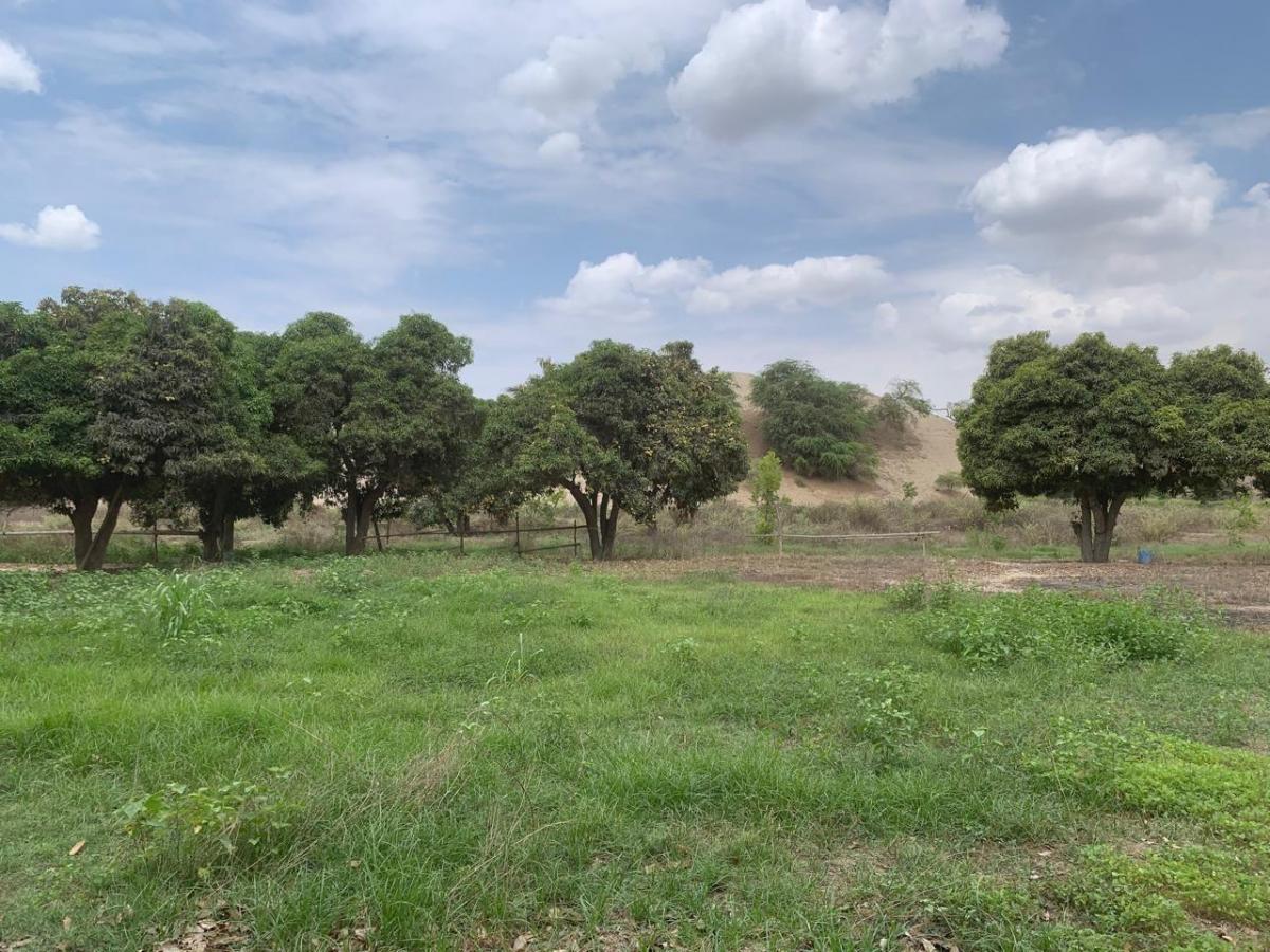 Venta Oportunidad de Inversión: Terreno 32, 279 m² en Los Aquijes - Ica