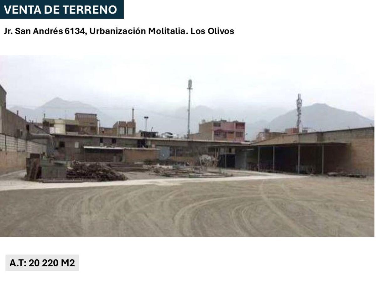Venta de Terreno – 20, 250 m² – Zda – Los Olivos (Molitalia)