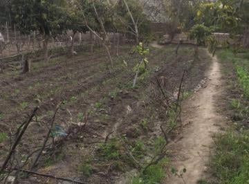 Super Terreno Agricola en Venta a 5 Minutos de La Plaza de Lunahuana