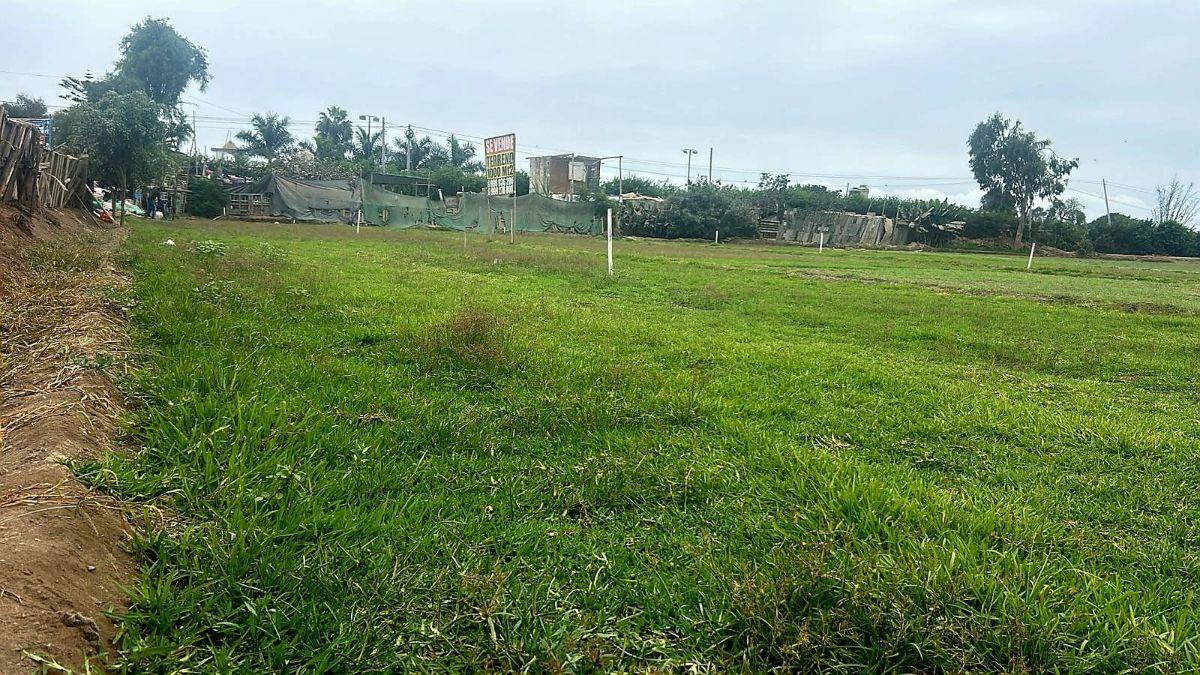 Pg Terreno en Lurin Excelente Oportunidad de Inversion!