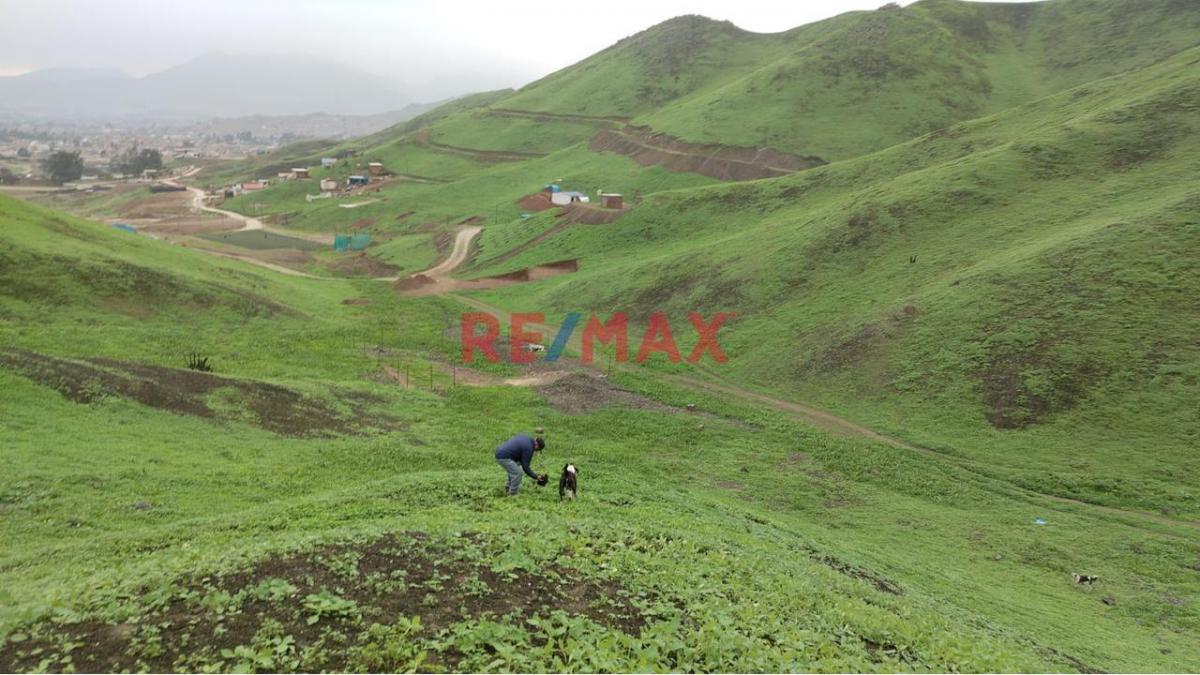 Venta de Terreno de 10 Hectáreas en Lurín | Ideal Para Desarrollo Industrial y Logístico