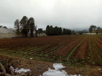 Terreno en Pachacamac