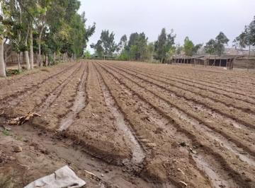 En Venta Oportunidad: Unidad Agrícola Lista Para Operar – Terreno 8, 167 m² en Lurín