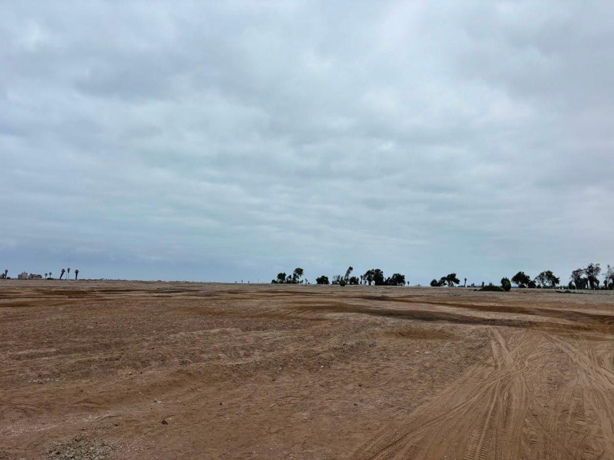 Venta Terreno de 14.6 Ha´s con Frente Panamericana Sur, Lurín