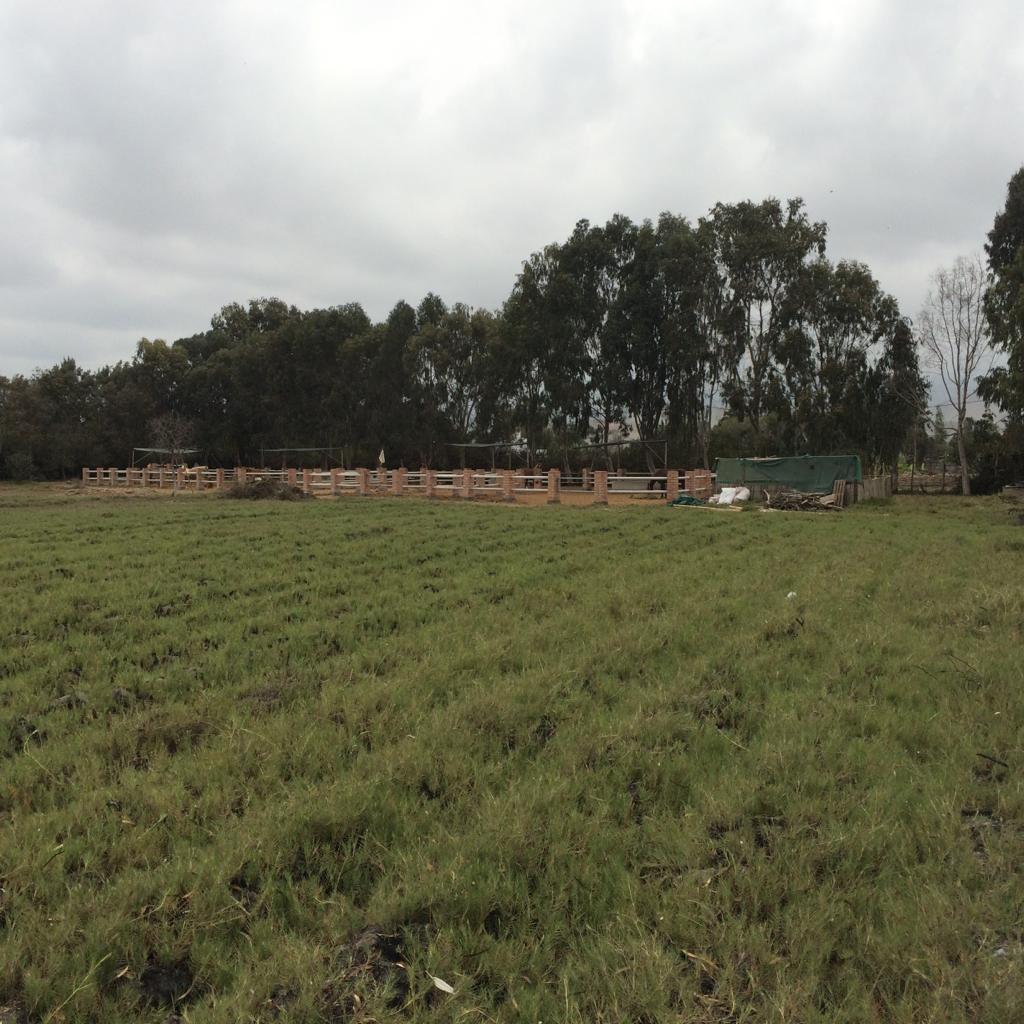 Terreno Mala Totalmente Plano