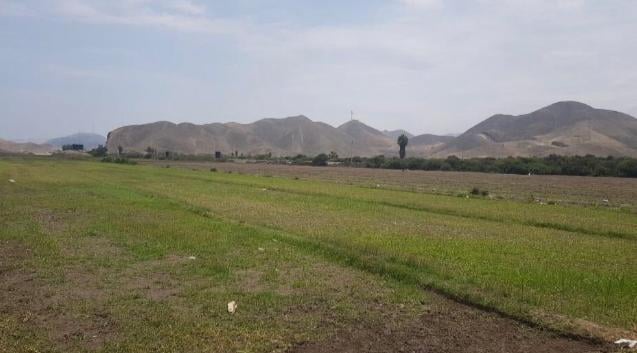 Oportunidad Única de Inversión! Terreno en Venta en El Valle de Mala