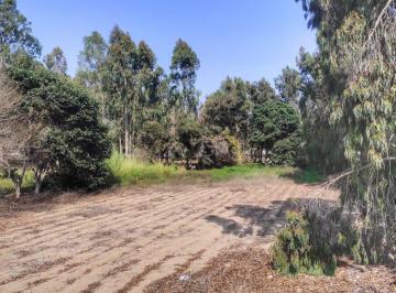 Venta de Terreno Al Costado Panamericana Sur
