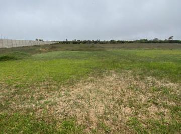 Venta de 12, 000 m² de Terreno en San Rafael, Mala Entrada de Totoritas