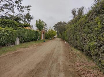 Venta de Terreno en Condominio San Andres Mala Cañete