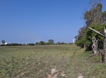 Se Vende Terreno Cerca a Panam de 17, 212 m². Vivienda de Campo, Proyectos Inmob. en Mala. Cañete