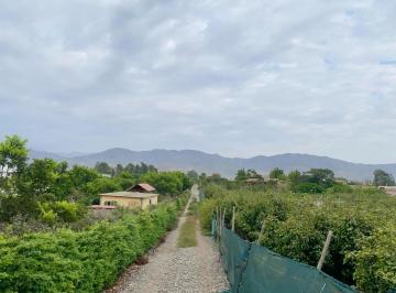 Se Vende Terreno en Azpitia - Cañete