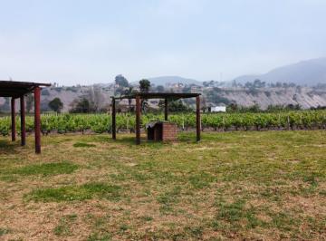 ¡Oportunidad Única! Terreno Agrícola en Venta con Producción de Pisco en El Valle de Azpitia