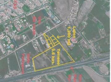 S Vende Terreno de 56, 000 m² en El Km 86.50 de La Panam Sur - Mala