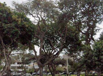Terreno en Venta de 360 m² en Miraflores