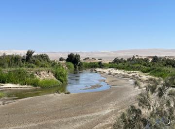 Hermoso Terreno Agrícola de 305 Has Ocucaje, Ica $20, 000 Dólares por Has