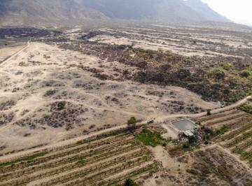 Terreno Agricola Venta Olmos 450 Ha
