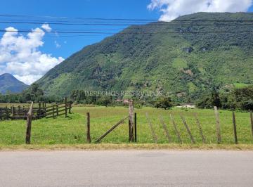 ¡Excelente Oportunidad! Terreno de 6 Hectáreas - Oxapampa