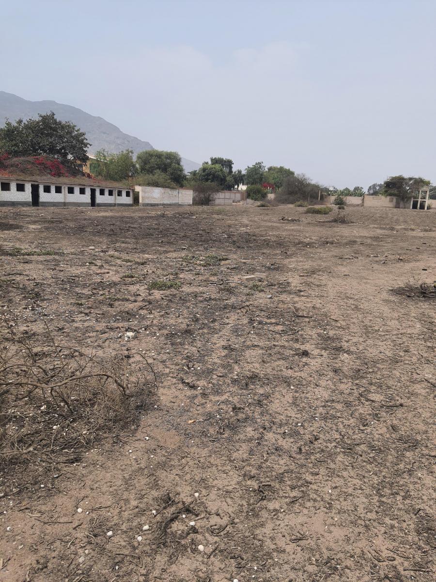 Vendo Terreno en Pachacamac