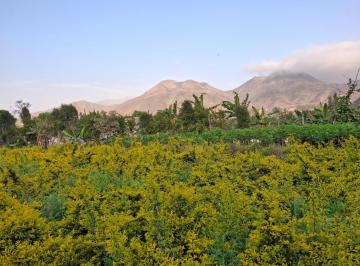 Vendo Terreno en Pachacamac