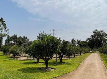 Terreno 2 Hectáreas en Pachacamác, Cerca Canal 4