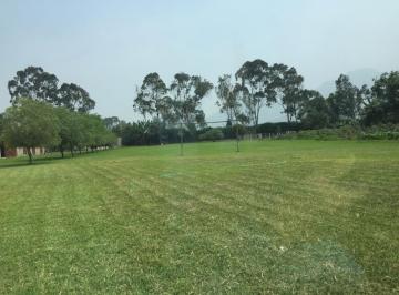 Super Ocasión Venta de Terreno Agrícola en Pachacamac.
