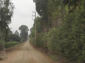 Terreno en Venta en Finca Maria Pachacamac