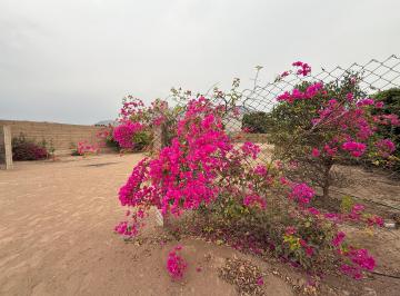 Venta de Terreno en Pachacamac